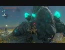 #196,ゼルダの伝説ティアーズオブザキングダム