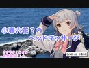 【ASMROIDモドキ】小春六花？の○○〇マッサージ【矯正施設トド岩】