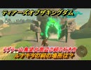 ゼルダの伝説ティアーズオブザキングダム　祠の場所　ルナキタの祠の場所は？　ラブラー山鳥望台周辺の祠の行き方　＃５０３　【ティアキン】
