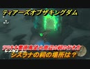 ゼルダの伝説ティアーズオブザキングダム　祠の場所　シスラナの祠の場所は？　ツツキキ雪原鳥望台周辺の祠の行き方　＃５０８　【ティアキン】