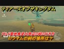 ゼルダの伝説ティアーズオブザキングダム　祠の場所　ロツマムの祠の場所は？　ゲルド高地鳥望台周辺の祠の行き方　＃５２２　【ティアキン】