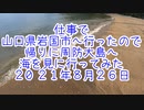 仕事で山口県岩国市に行ったので帰りに周防大島へ海を見に行ってみた