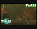 【25】ぼっち勇者の天空探検【ゼルダの伝説ティアーズオブザキングダム】