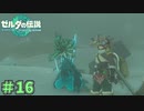 ペアルックにするな　「ゼルダの伝説～ティアーズ・オブ・ザ・キングダム」　＃16