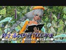 【PSO2:NGS】 ぷそつーに捕らわれたあかりん Part5 【VOICEROID実況】