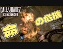 【実況】西部劇絶叫？カーボーイ【Call of Juarez： Gunslinger】part2