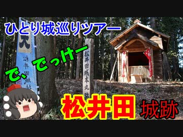 【ゆっくり】松井田城跡安中城跡高崎城跡　ひとり城巡りツアー　
