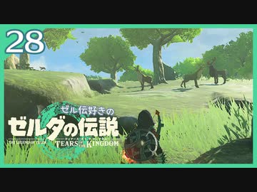 #028【ゼルダの伝説ティアーズオブザキングダム】ちょっと世界を翔けてくる【実況プレイ】