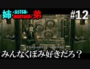 【BIOHAZARD5】またまた迷宮トラップに翻弄される姉弟 #12