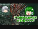 【早苗と妖夢の】ライネル相手に油断するとかマ？【ゆっくりティアキン】