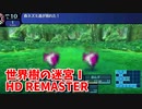 【世界樹の迷宮ⅠHD REMASTER】また、hageる時が来た…。初見エキスパートに挑戦します！装備とスキルを整えて、いざ地下1階へ！【翠緑の樹海Part2】