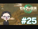 【実況プレイ】 ゼルダの伝説 ティアーズオブザキングダム part25 【いちご大福】