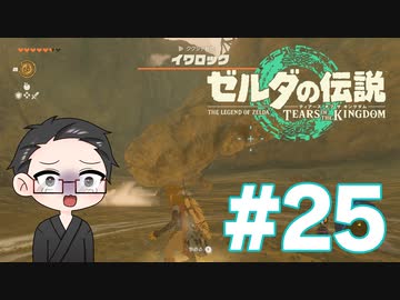 【実況プレイ】 ゼルダの伝説 ティアーズオブザキングダム part25 【いちご大福】