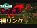 【侵蝕】いきなりラスボス出てきたんだが！？　Part 16【ゼルダの伝説ティアーズオブザキングダム】