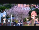 【Λ.Ι.ⅤΟΙСΞ車載】琴葉姉妹で行く　ぶらり400Xの旅　～小豆島・香川県ツーリング Part.1～