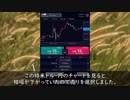 ダイナマンのFX～負け犬編～#19