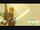 【ゼルダの伝説TEARS OF THE KINGDOM】サクサク楽しむ実況プレイpart25