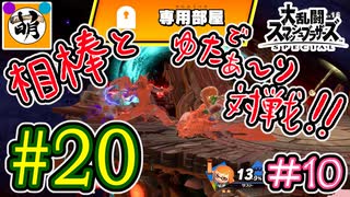 【スマブラSP】ゆたぁ～りと唐突に始めるおきらくスマブラSP　#20　「相棒とオンライン対戦編 #10」