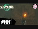 【ティアキン＃1】凡人が行く龍泪旅
