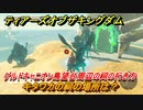 ゼルダの伝説ティアーズオブザキングダム　祠の場所　キタワカの祠の場所は？　ゲルドキャニオン鳥望台周辺の祠の行き方　＃５３２　【ティアキン】
