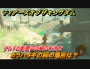 ゼルダの伝説ティアーズオブザキングダム　祠の場所　カラハタギの祠の場所は？　ゲルドの街周辺の祠の行き方　＃５３３　【ティアキン】
