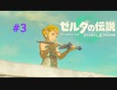 ティアキン #3 ゼルダをさがして 終 ゼルダの伝説 ティアーズ オブ ザ キングダム