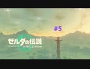ティアキン #5 初めての鳥望台 ゼルダの伝説 ティアーズ オブ ザ キングダム