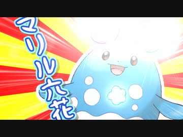 今日のマリル六花【マリルリ】