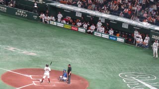 岡本和真ホームランで感情出して喜ぶ坂本勇人や丸佳浩の先輩たちと嬉しそうにタッチする中山礼都が可愛い　2023年5月21日 読売ジャイアンツ対 中日ドラゴンズ