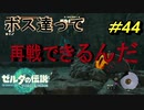 こいつらとまた戦えるんだ【TEARS OF THE KINGDOM】＃44