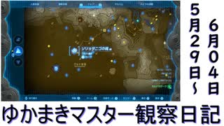 マスター観察日記 ５月２９日～６月４日