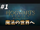 ハリーポッターの魔法の世界を体験できるゲーム！！【ホグワーツ・レガシー】#1