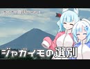 2023年6月5日　農作業日誌P651　とっても良い天気だから一杯ジャガイモ収穫して荷造りもしたよ