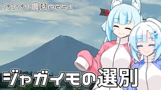 2023年6月5日　農作業日誌P651　とっても良い天気だから一杯ジャガイモ収穫して荷造りもしたよ