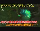 ゼルダの伝説ティアーズオブザキングダム　祠の場所　エコチウの祠の場所は？　オルディン峡谷鳥望台周辺の祠の行き方　＃５５６　【ティアキン】