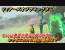 ゼルダの伝説ティアーズオブザキングダム　祠の場所　シナタニカカの祠の場所は？　ウルリ山鳥望台周辺の祠の行き方　＃５６５　【ティアキン】