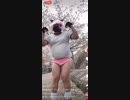 ホモと見るブルマおじさん希少種