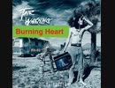 Burning Heart 弾いてみた　Fair Warning
