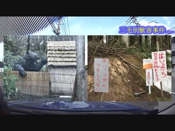 テキトー雑談全３話【土禁と熊と半導体】