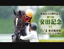 【中央競馬】プロ馬券師よっさんの第73回 安田記念（GⅠ）