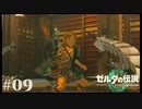 【ゼルダの伝説 Tears of the Kingdom】逆バンジー台【実況】#09
