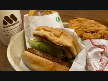 盲腸明け、モスのテリヤキバーガーを食べる屋敷しもべ