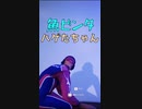 魚ビンタハゲたちゃん