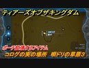 ゼルダの伝説ティアーズオブザキングダム　コログの実の場所　唄ドリの草原３　ポーチ拡張するアイテム　＃５７７　【ティアキン】