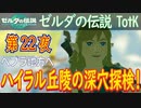 【へブラ地方へ⑥】ゼルダの伝説 ティアーズオブザキングダム こつこつ実況 第22夜