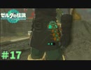え？2700個必要なんですか？　「ゼルダの伝説～ティアーズ・オブ・ザ・キングダム」　＃17