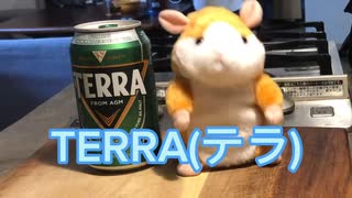 韓国ビールのテラビールと韓国ナムルで晩酌キメるハムスター（TERRA BEER& Korean Namul）