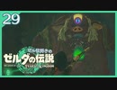 #029【ゼルダの伝説ティアーズオブザキングダム】ちょっと世界を翔けてくる【実況プレイ】