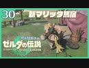 #030【ゼルダの伝説ティアーズオブザキングダム】ちょっと世界を翔けてくる【実況プレイ】