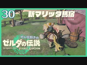 #030【ゼルダの伝説ティアーズオブザキングダム】ちょっと世界を翔けてくる【実況プレイ】